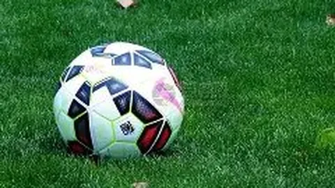 米兰体育 资讯 123224 n5x