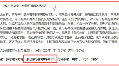 2022点球争议回顾，巴西中立场复仇机会分析